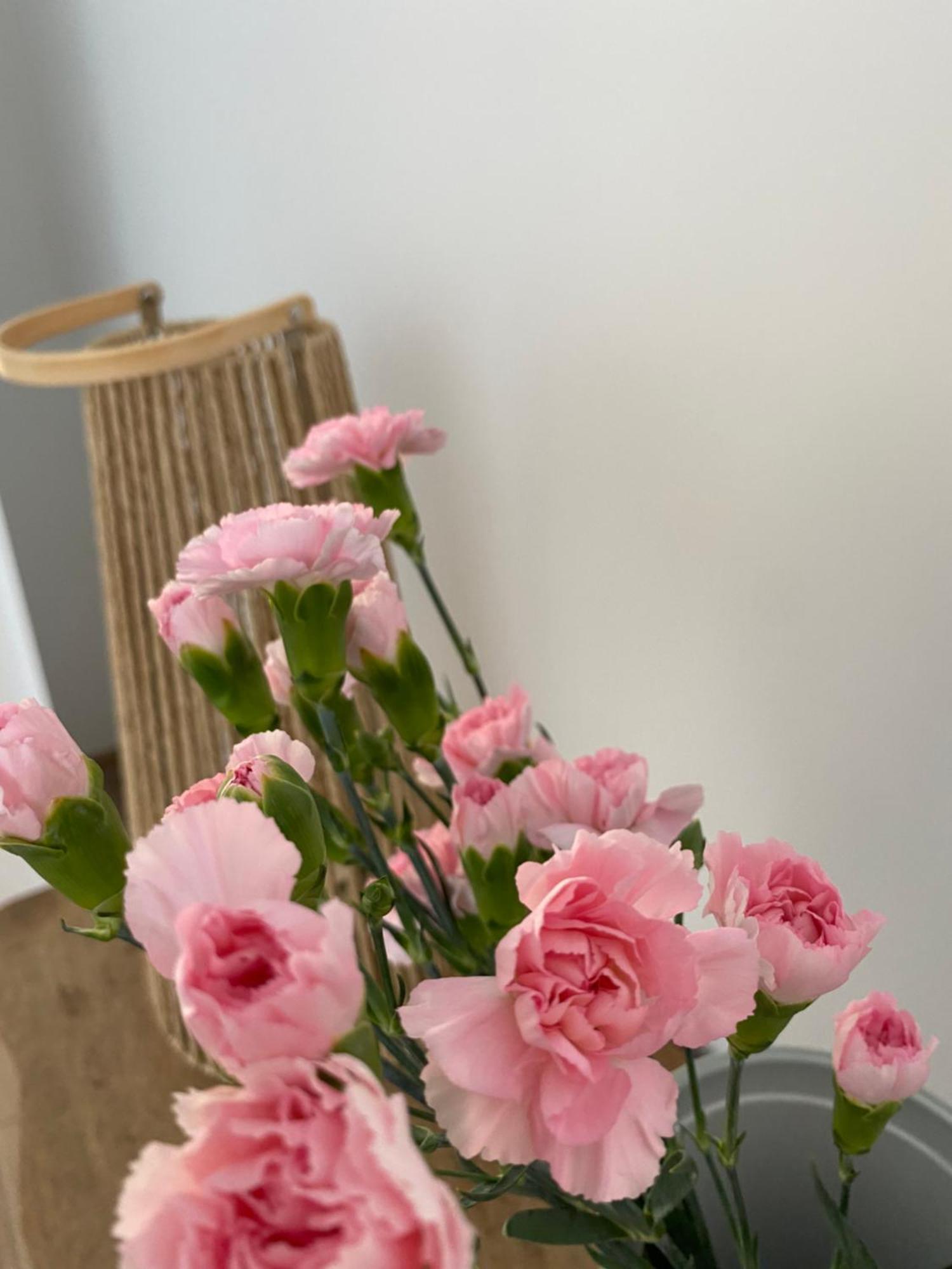 Przy Ogrodzie Botanicznym - Niemcewicza Apartment