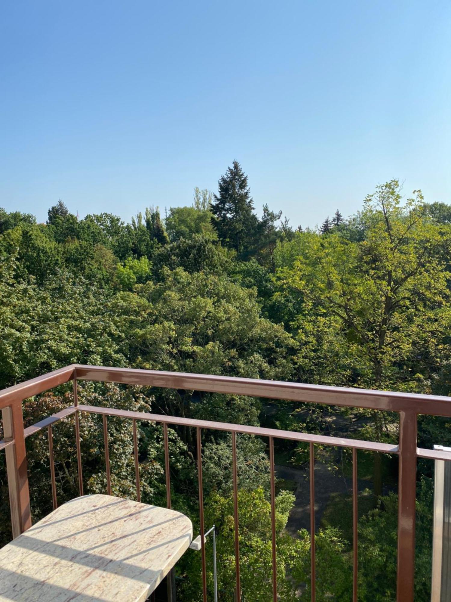 Przy Ogrodzie Botanicznym - Niemcewicza * Bydgoszcz